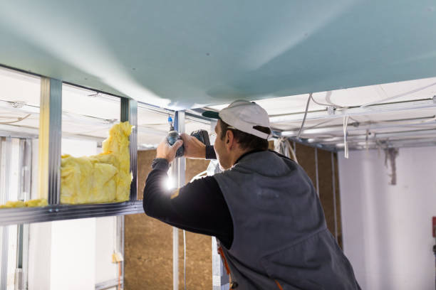 Best DIY Insulation Kits and Guidance in Black River, NY