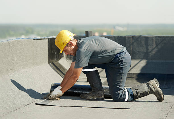 Best Specialized Insulation Services in Black River, NY