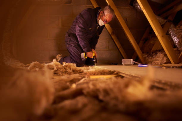 Best Geographic-Specific Insulation Services in Black River, NY
